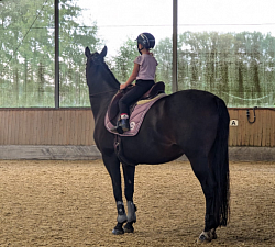 Inzwischen reitet meine Tochter mein Pferd